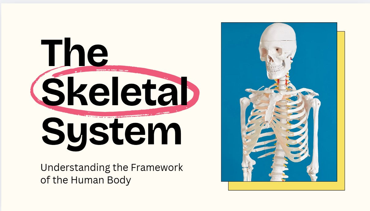 Skeletal 
