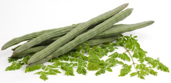 Have you Met Moringa?