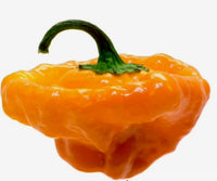 Thumbnail for what is scotch bonnet 